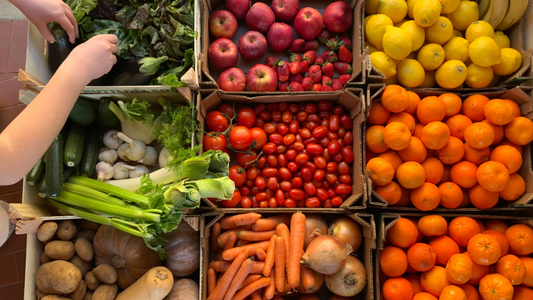10 aliments detox à privilégier