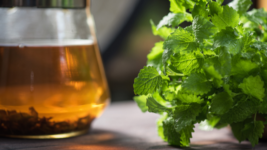 La mélisse peut être consommée en infusion. Elle a des vertus apaisantes, anti-stress, et est efficace contre les insomnies légères. Chez Nanour, elle est présente dans la tisane Détente et Concentration.