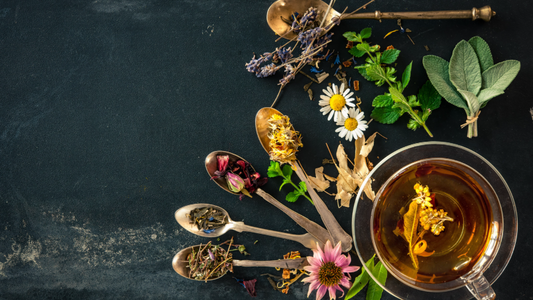 Infusion, tisane ou thé: quelles différences et quelles vertus ?