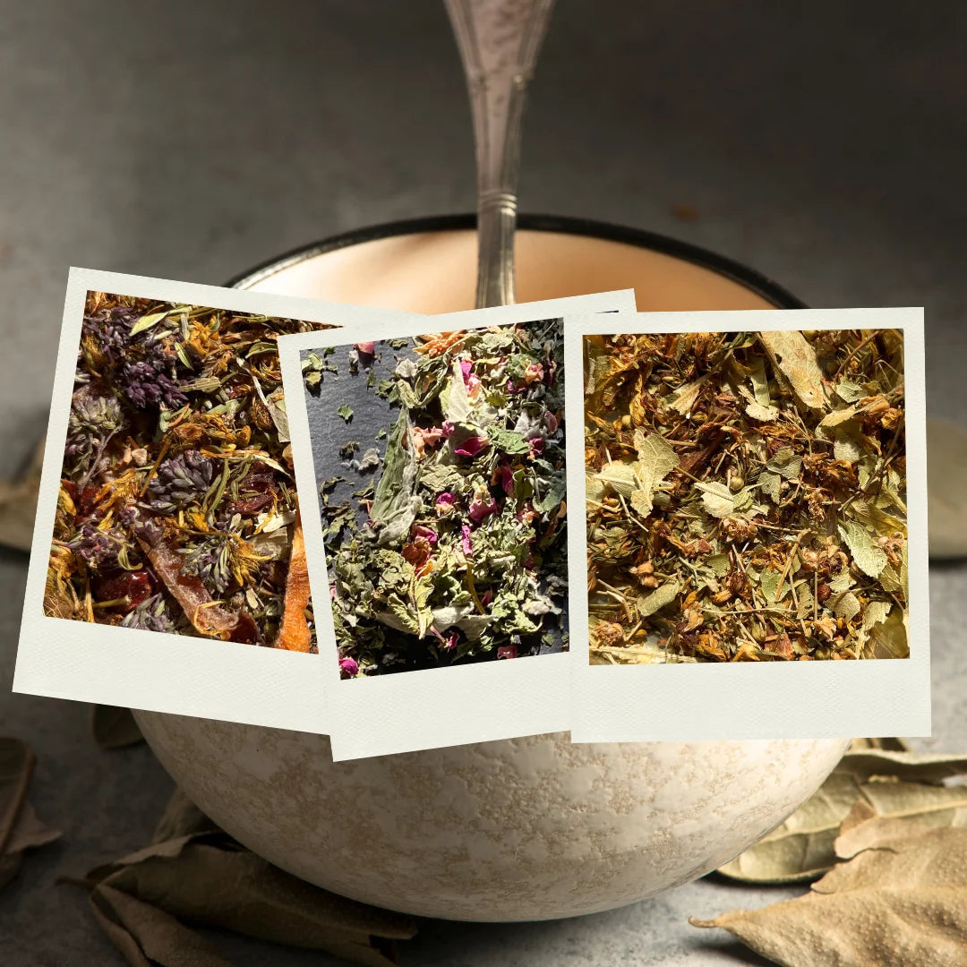 pack d'infusions nanour matin concentration et nuit