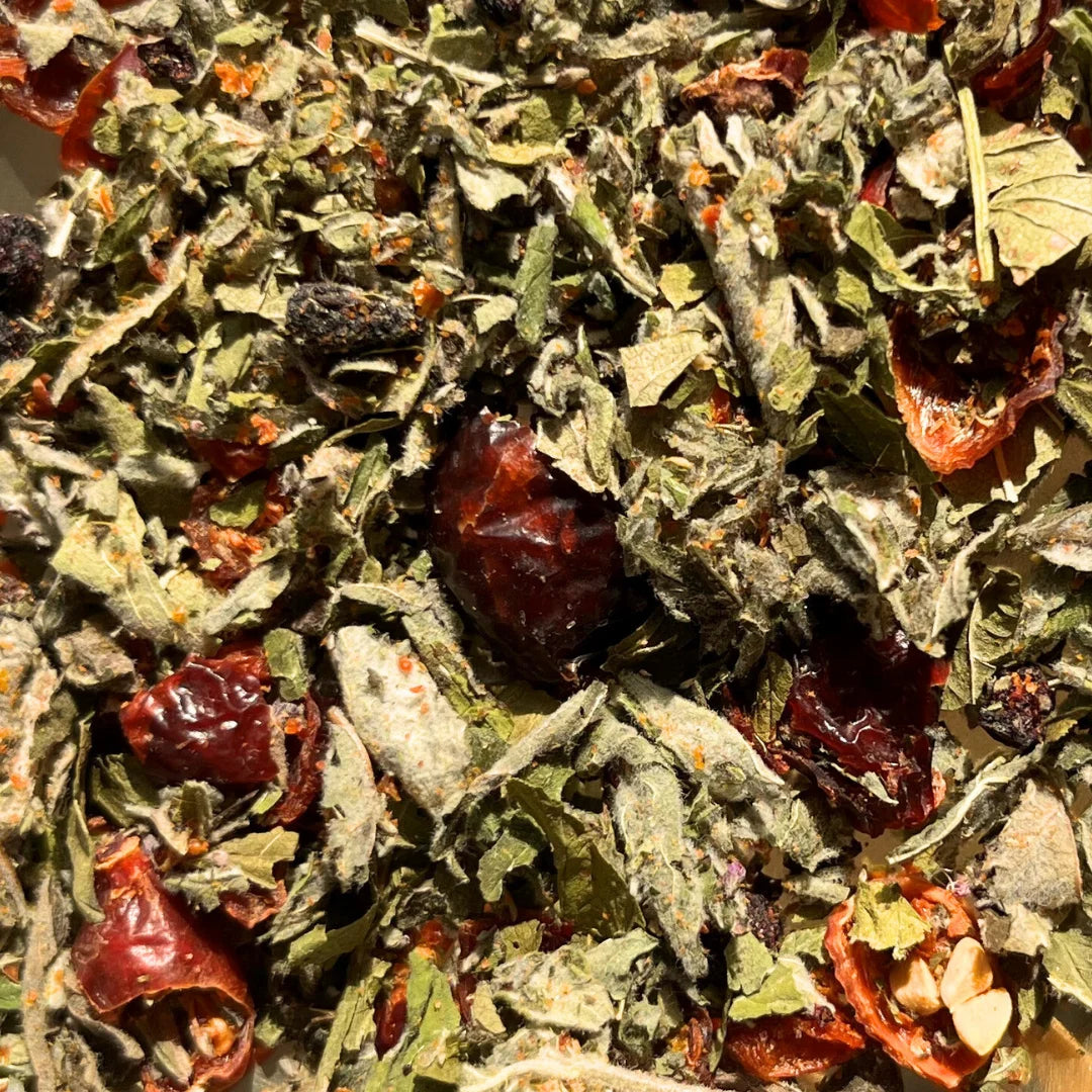 infusion baies menthe nanour