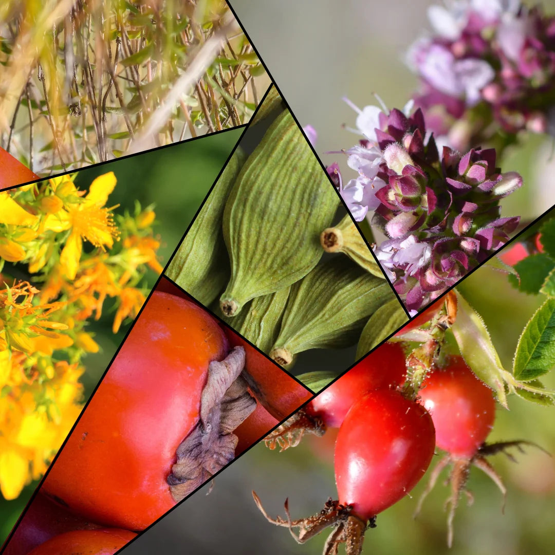 infusion matin nanour énergie bonne humeur