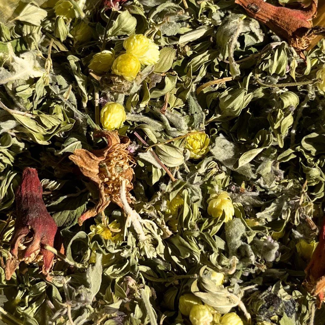 infusion thym menthe grenade immortelle nanour